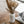 Load image into Gallery viewer, 234 - Ceramic Vase